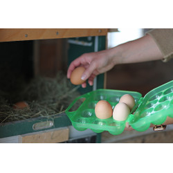 Caixa de transporte para ovos Kerbl Hobbyfarming Verde transparente