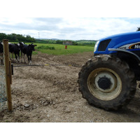 Dobradiça de reposição Electro Gate Kerbl Preto / amarelo Dobradiça de reposição Electro Gate Kerbl Preto / amarelo