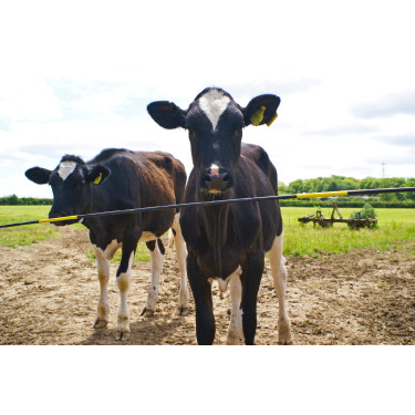 Dobradiça de reposição Electro Gate Kerbl Preto / amarelo