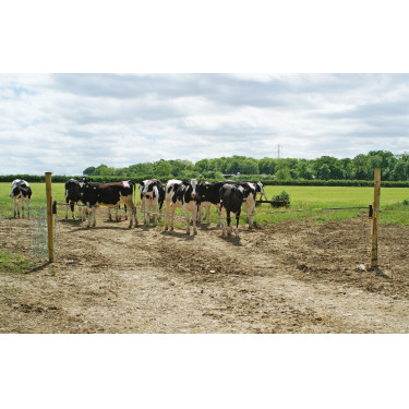 Dobradiça de reposição Electro Gate Kerbl Preto / amarelo