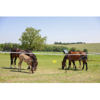 Cordão de cerca PlatinumLine AKO Branco / azul