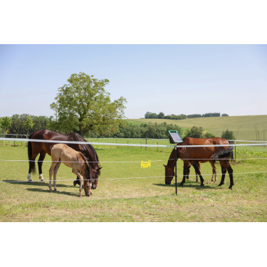 Cordão de cerca PlatinumLine AKO Branco / azul Cordão de cerca PlatinumLine AKO Branco / azul