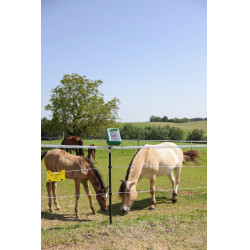 Cordão de cerca PlatinumLine AKO Branco / azul Cordão de cerca PlatinumLine AKO Branco / azul