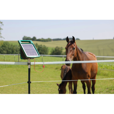 Cordão de cerca PlatinumLine AKO Branco / azul Cordão de cerca PlatinumLine AKO Branco / azul