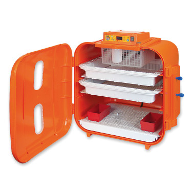 Incubadora Covatutto 108 digital Kerbl Hobbyfarming Vermelho