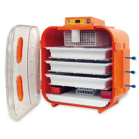 Chocadeira Covatutto 162 digital Kerbl Hobbyfarming Laranja Chocadeira Covatutto 162 digital Kerbl Hobbyfarming Laranja