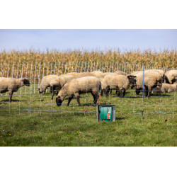 Duo Power Xi 8000 AKO Verde