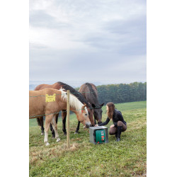 Duo Power Xi 8000 AKO Verde