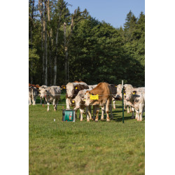 Duo Power Xi 8000 smart AKO Verde Duo Power Xi 8000 smart AKO Verde