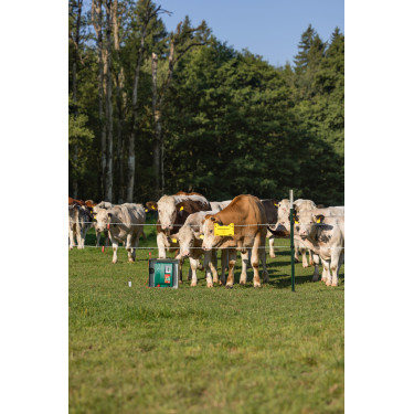 Duo Power Xi 8000 smart AKO Verde Duo Power Xi 8000 smart AKO Verde