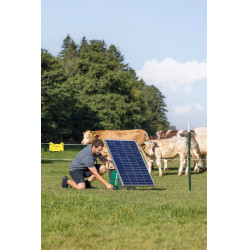 Duo Power Xi 8000 smart AKO Verde Duo Power Xi 8000 smart AKO Verde