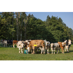 Duo Power Xi 8000 smart AKO Verde Duo Power Xi 8000 smart AKO Verde