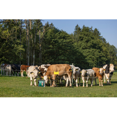 Duo Power Xi 8000 smart AKO Verde Duo Power Xi 8000 smart AKO Verde