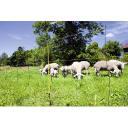 EasyNet Kerbel pet