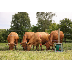 Fio de cerca PlatinumLine AKO Branco / azul Fio de cerca PlatinumLine AKO Branco / azul