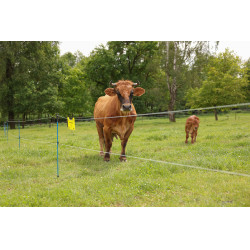 Fio de cerca PlatinumLine AKO Branco / azul Fio de cerca PlatinumLine AKO Branco / azul