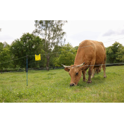 Fio de cerca PlatinumLine AKO Branco / azul Fio de cerca PlatinumLine AKO Branco / azul