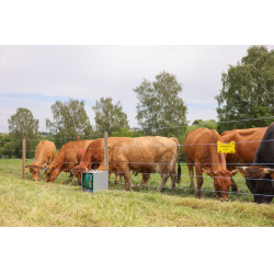 Fio de cerca PlatinumLine AKO Branco / azul Fio de cerca PlatinumLine AKO Branco / azul