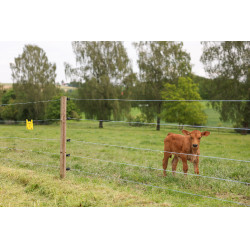 Fio de cerca PlatinumLine AKO Branco / azul Fio de cerca PlatinumLine AKO Branco / azul