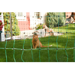 Rede anti-gatos AKO Verde Rede anti-gatos AKO Verde