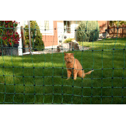 Rede anti-gatos AKO Verde Rede anti-gatos AKO Verde