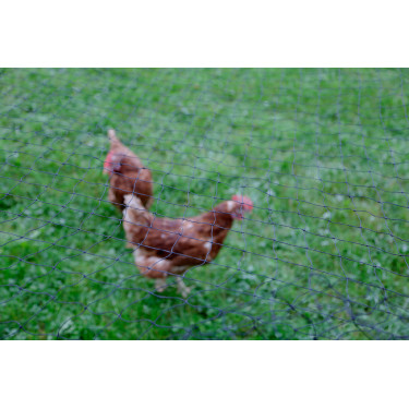 Rede de proteção para aves AKO Preto Rede de proteção para aves AKO Preto