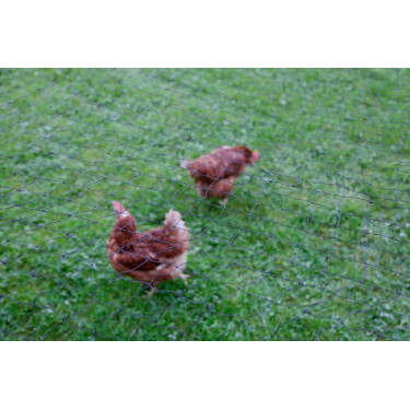 Rede de proteção para aves AKO Preto Rede de proteção para aves AKO Preto