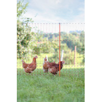 Rede para aves AKO Laranja Rede para aves AKO Laranja