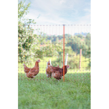 Rede para aves AKO Rede para aves AKO