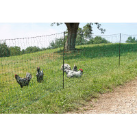 Rede para aves AKO Verde