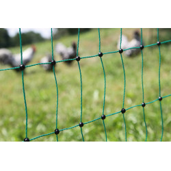 Rede para aves AKO Verde