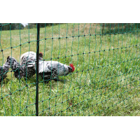 Rede para aves AKO Verde