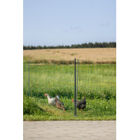 Rede de aves Premium AKO Verde Rede de aves Premium AKO Verde