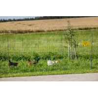 Rede de aves Premium AKO Verde Rede de aves Premium AKO Verde