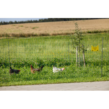 Rede de aves Premium AKO Verde Rede de aves Premium AKO Verde