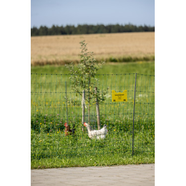 Rede de aves Premium AKO Verde Rede de aves Premium AKO Verde