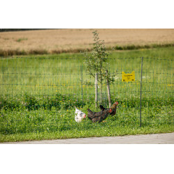 Rede de aves Premium AKO Verde Rede de aves Premium AKO Verde