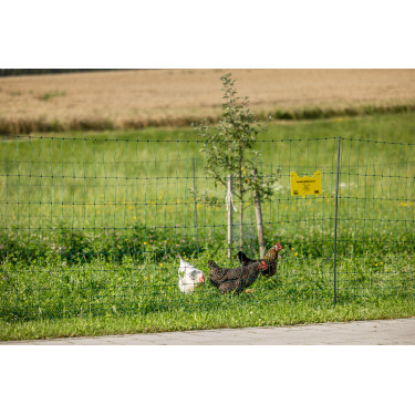 Rede de aves Premium AKO Verde Rede de aves Premium AKO Verde