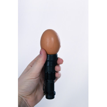 Mira-ovos LED Kerbl Hobbyfarming Preto