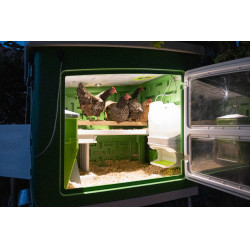 Cooperativa Móvel Kerbl Hobbyfarming Verde / branco Cooperativa Móvel Kerbl Hobbyfarming Verde / branco