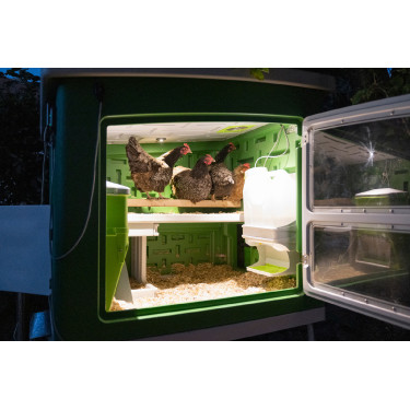 Cooperativa Móvel Kerbl Hobbyfarming Verde / branco Cooperativa Móvel Kerbl Hobbyfarming Verde / branco