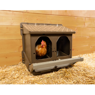 Ninho Kerbl Hobbyfarming Castanho