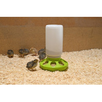 Comedouro para codornizes Kerbl Hobbyfarming Verde claro Comedouro para codornizes Kerbl Hobbyfarming Verde claro