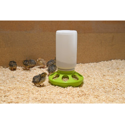Comedouro para codornizes Kerbl Hobbyfarming Verde claro