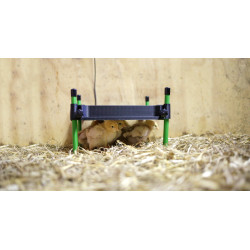 Placa de aquecimento para pintinhos CosyHeat Kerbl Hobbyfarming Preto / verde Placa de aquecimento para pintinhos CosyHeat Kerbl Hobbyfarming Preto / verde