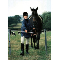 Portão elétrico Electro Gate AKO Preto Portão elétrico Electro Gate AKO Preto