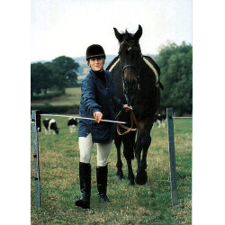 Portão elétrico Electro Gate AKO Preto