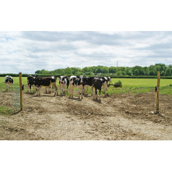 Portão elétrico Electro Gate AKO Preto