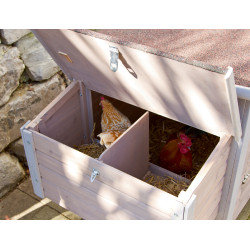 Galpão para galinhas Emma Kerbl Hobbyfarming Natural Castanho