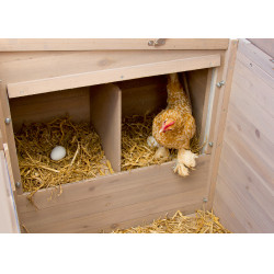 Galpão para galinhas Emma Kerbl Hobbyfarming Natural Castanho